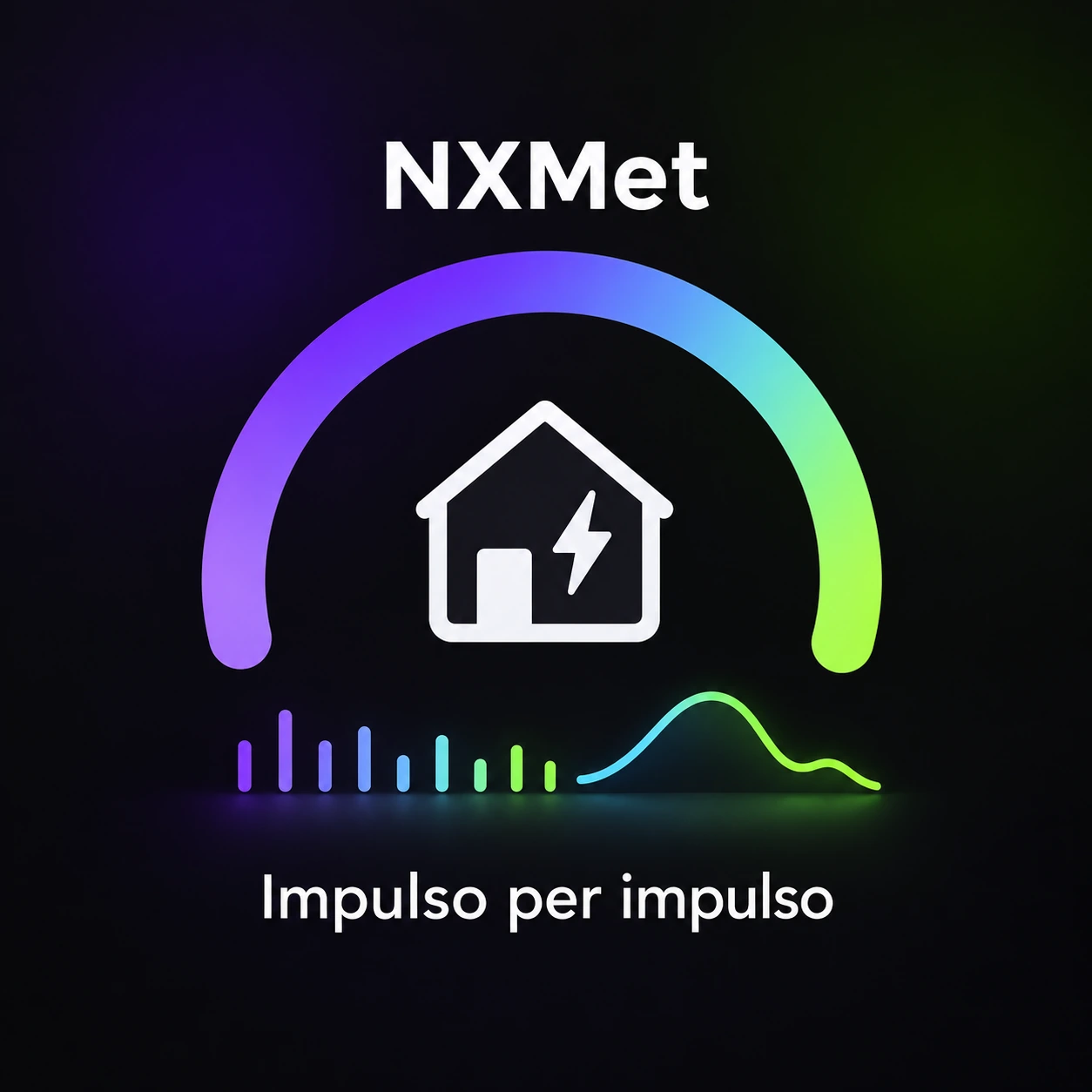 NXMet: dagli impulsi del contatore al profilo dei consumi